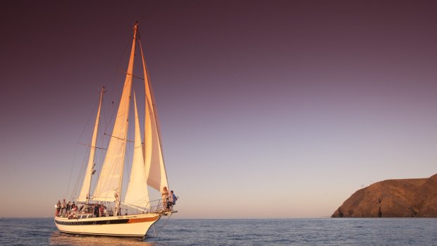  Lady Eugenie sails into Wineglass Bay.