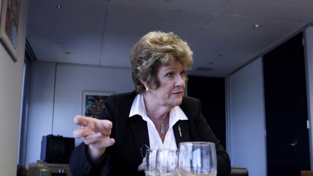 Accusations ... NSW health minister Jillian Skinner.