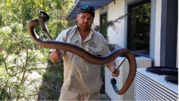 "Heavy as": Even catcher Geoff Delooze was surprised by the size of this snake.