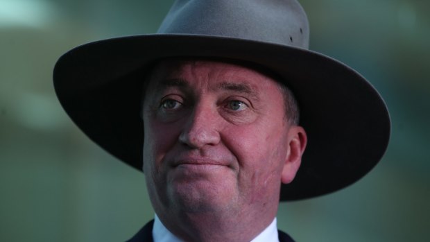 Deputy Prime Minister Barnaby Joyce at Parliament House last month.