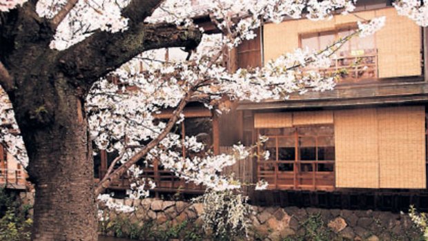 Cultural heart ...Kyoto’s wooden machiya houses are being restored.