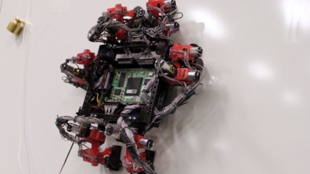 The six-legged Abigaille climbing robot, able to transition from vertical to horizontal surfaces.
