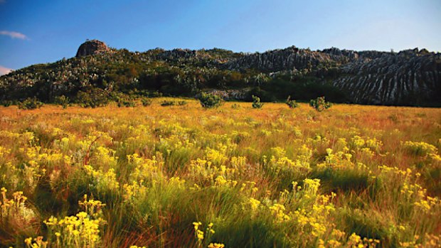 Gorongosa is distinguished by its diverse eco-systems, from mountains to floodplains