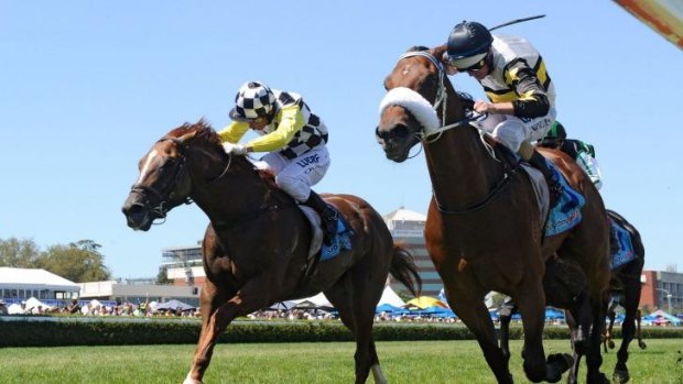 Moment of triumph: Luke Nolen and Moment of Change (inside) take the Orr Stakes at Caulfield in February.