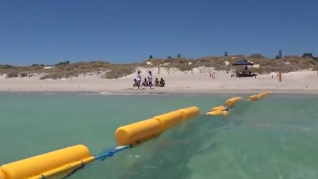 The barrier in the water at Coogee Beach.