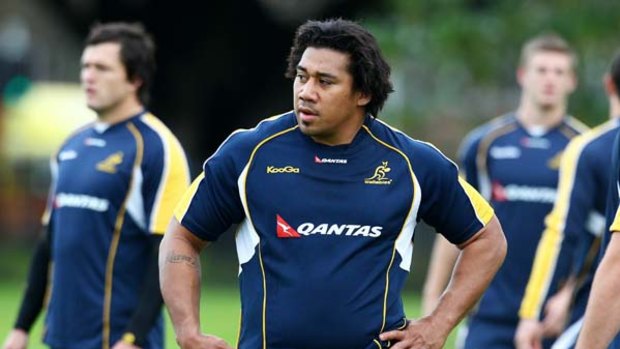 Brothers at arms . . . Salesi Ma'afu at Wallabies training.He and younger sibling Campese make their Test debuts on Saturday- Campese for Fiji.