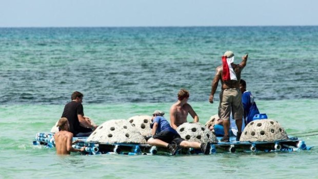Volunteers have built 60 artificial reefs to help stimulate coral regeneration as part of YPDR's marine restoration program.