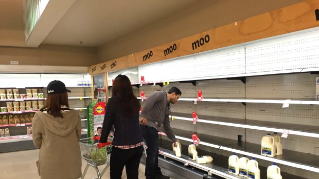 Coles at Chadstone with empty milk shelves.