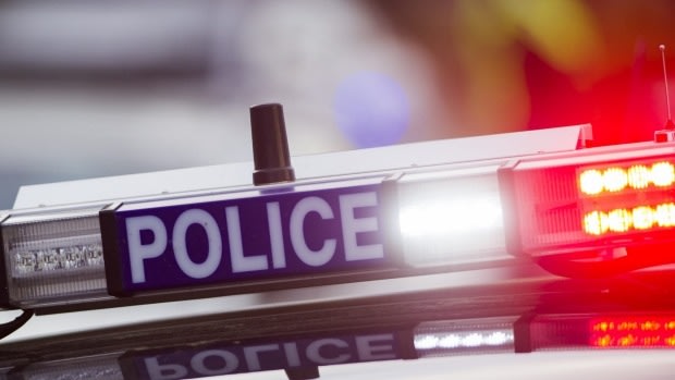A man has been arrested following a crime spree in Canning Vale.