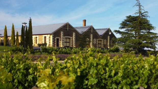 Wynns Coonawarra estate where innovative vineyard methods pay off.