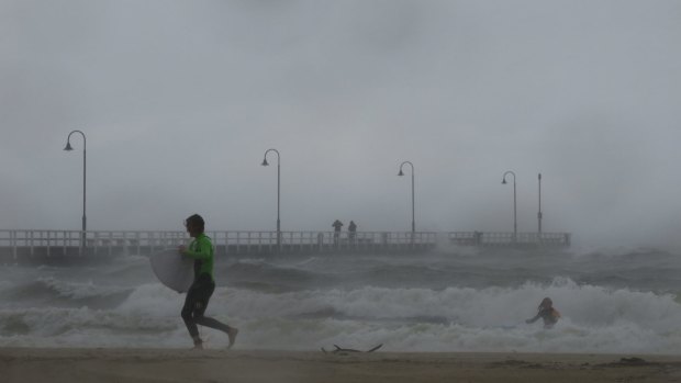 Surfers in the storm at Kerferd Road Pier.