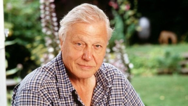 ... broadcaster and naturalist David Attenborough, is receiving tributes.
