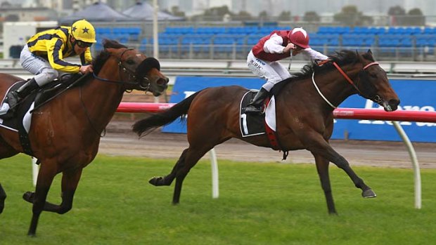 Limes (on the inside) ridden by Vlad Duric failed to pull back the Jason Warren-trained Pronto Pronto, with Ben Melham on board,  at Flemington earlier this month.