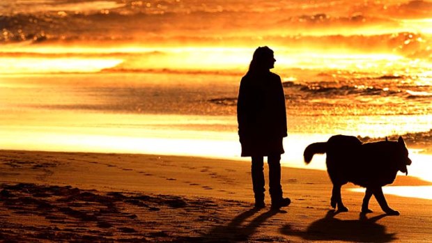 Rising temperatures: Sydney will have its seventh fire ban for the season.
