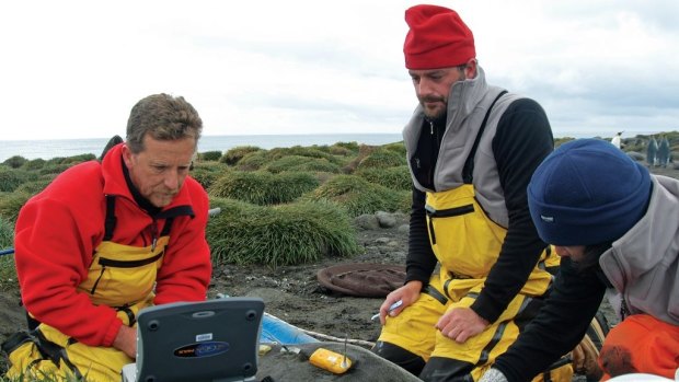 New Australian Antarctic Division director Nick Gales (left) with other scientists tagging a seal on Heard Island.