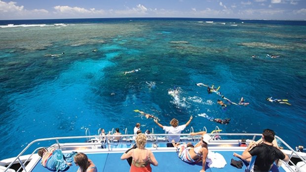 One of the best ways to immerse yourself in this natural wonder is on a snorkelling trip to the Outer Reef. About 60 kilometres from Port Douglas travelling on a sturdy 21-metre vessel, guests visit three sites and swim among coral gardens full with giant clams, parrot fish and maori wrasse. There are deck chairs aplenty and lunch is provided on this full-day journey with about 60 guests. The once-in-a-lifetime experience is led by knowledgeable guides. See 