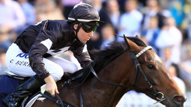 Rising talent: Ecuador could be special, says trainer Gai Waterhouse.