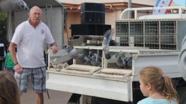 Forty of the pigeons released at Leonora on Sunday have failed to arrive at their destination. 