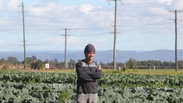 Growing anger ... Hawkesbury vegetable grower Carlo Perry said the proposed water laws would destroy his business.