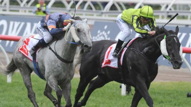 Dash for cash: Damian Browne, riding Black Cash, just holds out Members Joy to win the Subzero Challenge at Flemington on Thursday.