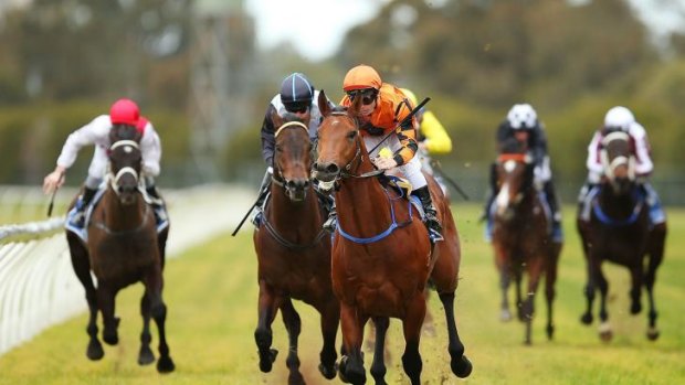 Uplifting: Liberation and Tim Clark dictated from the front to win at Rosehill.
