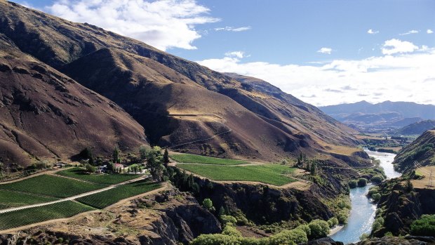 Chard Farm winery, on the Kawarau River Gorge, near Queenstown, 