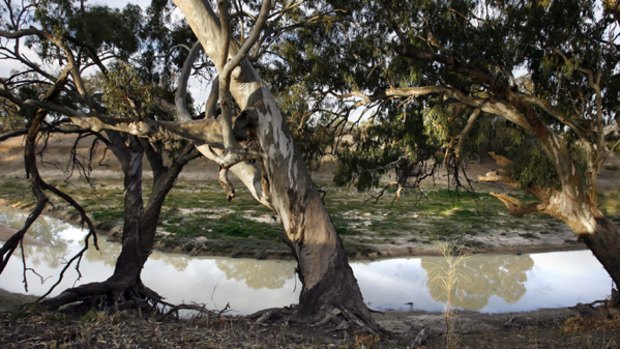 The Commonwealth and key states are at loggerheads over plans to revive the Murray-Darling Basin.