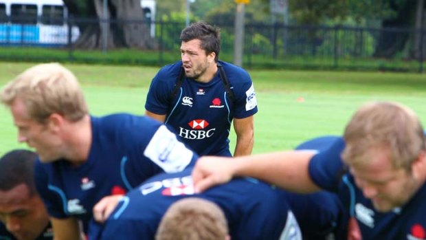 Ready for the Highlanders ... the Waratahs believe they have learnt what it takes to win.