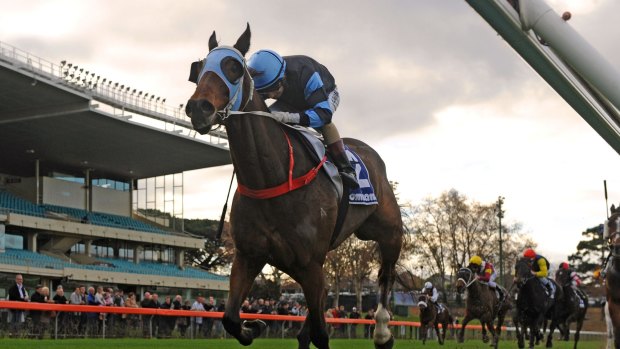 Sparkling display: The Cleaner wins at Moonee Valley in June.