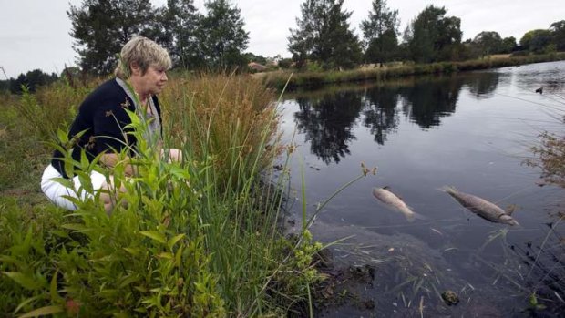 Local resident Denise Kay finds dead fish in Giralang Pond.