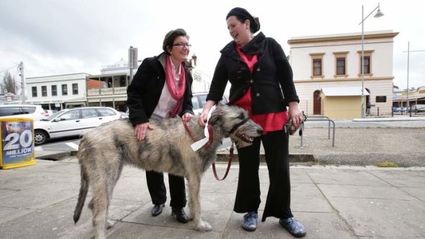 In touch: Cathy McGowan gives a constituent's pooch a pat in Beechworth.