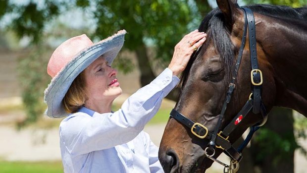 That's my boy: Gai Waterhouse with her Cup favourite Fiorente.