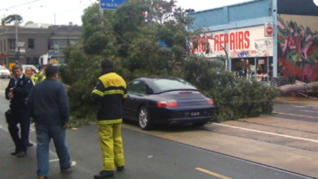 A falling tree in Chapel St, Prahran, narrowly missed a Porsche this morning.