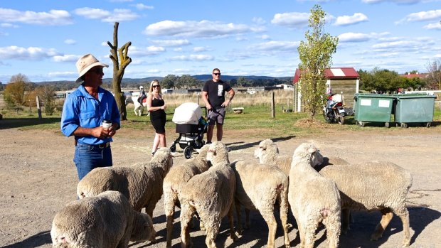 Families enjoyed getting close to farm animals at the Majura Valley Bush Festival last weekend.