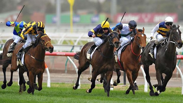 Chris Symons rides Shoreham to victory ahead of Garud (Ryan Maloney up) and Dany The Fox (Glen Boss up) in The Sofitel on Saturday.