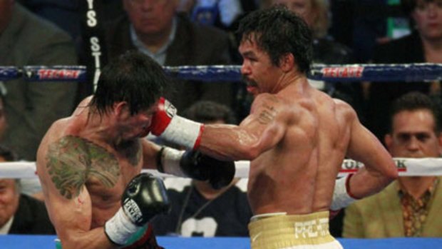 Heavy hitter ... Manny Pacquiao in action last year, but is the superstar taking in the sights of Sydney?