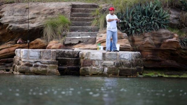 Problems remain: Pollution levels in the Parramatta River remain a  problem. 