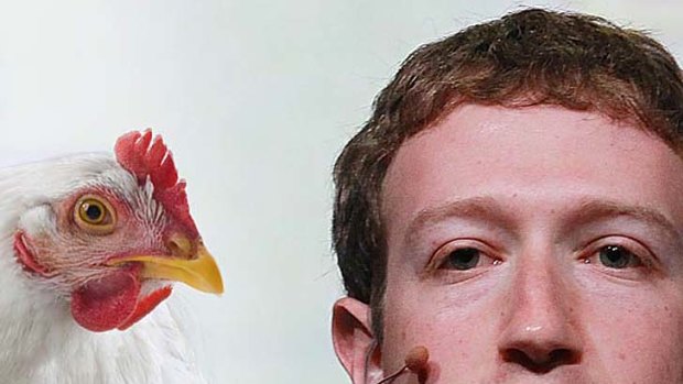 Facebook's Mark Zuckerberg: only eats meat that he kills himself.