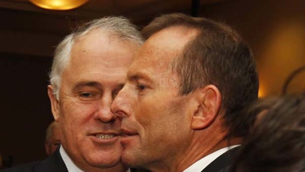 Tony Abbott has set Malcolm Turnbull the task of ''demolishing'' the government on the issue of broadband.