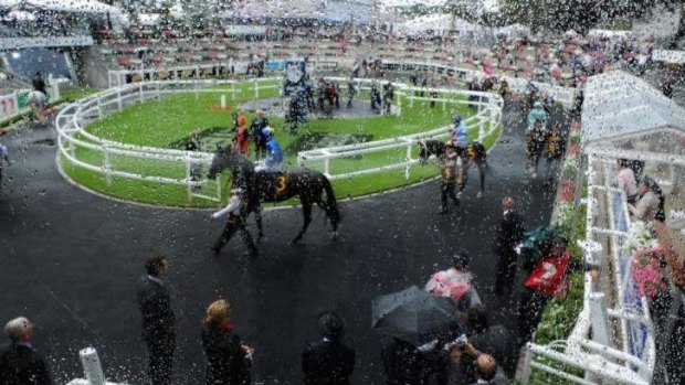 Horses parade in the mounting yard in wet and windy conditions during day one of The Championships at Royal Randwick
