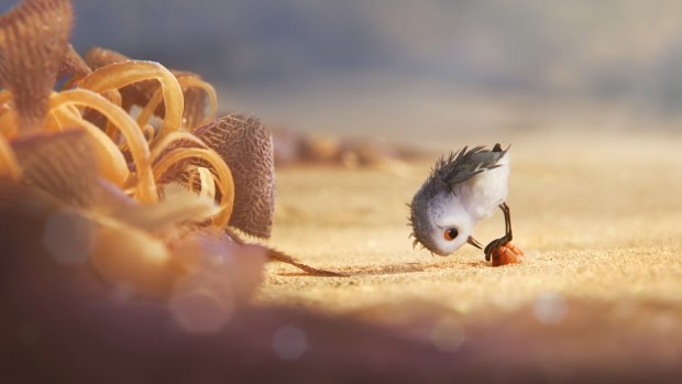 Piper befriends a hermit crab, who helps the small bird overcome its fear of the water.