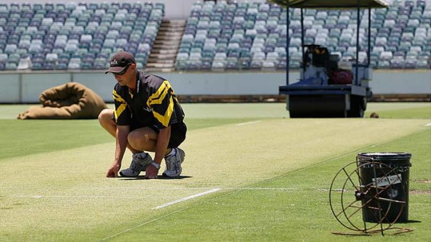 Feared patch: The WACA pitch.