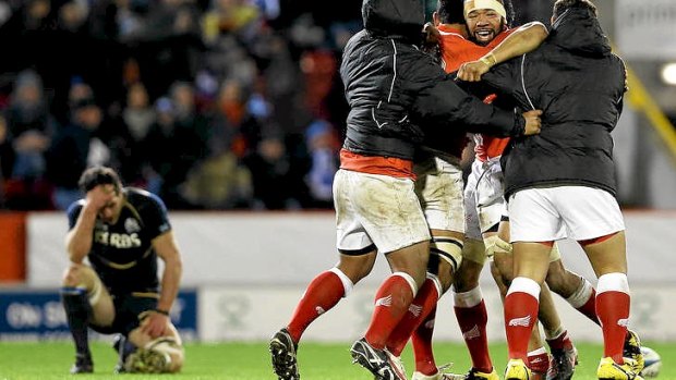 Agony and ecstasy ... Tonga players celebrate in front of a distraught Scotland player.