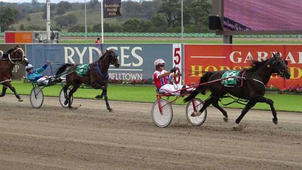 Rout complete: Miracle Mile champ Beautide and trainer-driver James Rattray romped away with the InterDominion final at Menangle on Sunday.