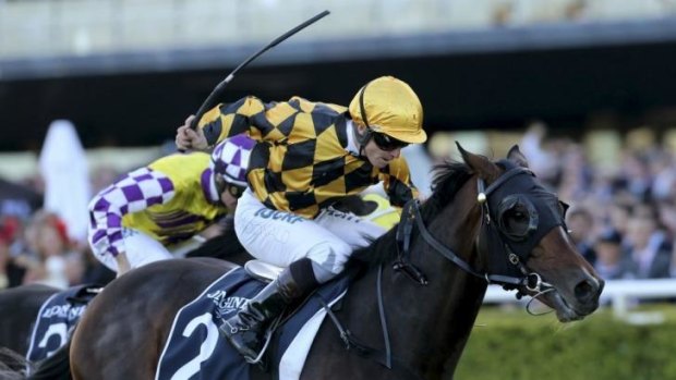 All over: It’s A Dundeel, with James McDonald on board, wins Sydney’s richest race, the $4 million Queen Elizabeth Stakes.