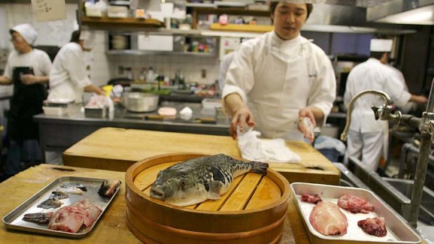 Rare treat... diners pay a premium for fugu.