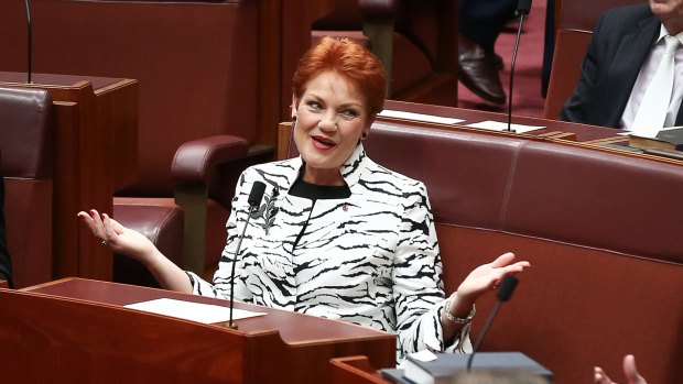 Senator Pauline Hanson during the opening of the 45th Parliament, at Parliament House in Canberra on Tuesday 30 August 2016. Photo: Alex Ellinghausen