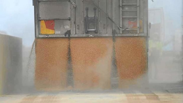 Grain dumping.