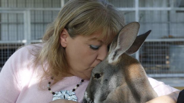 Christie Carr kisses Irwin the kangaroo at the Garold Wayne Interactive Zoological Park, where they now live, in Wynnewood, Oklahoma.