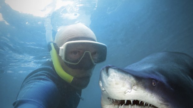 Last year, more people were killed taking selfies than in shark attacks.